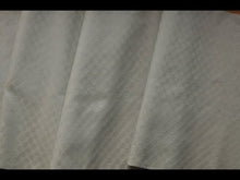 ギャラリービューア薄水色南風原花織着尺に読み込んでビデオを見る